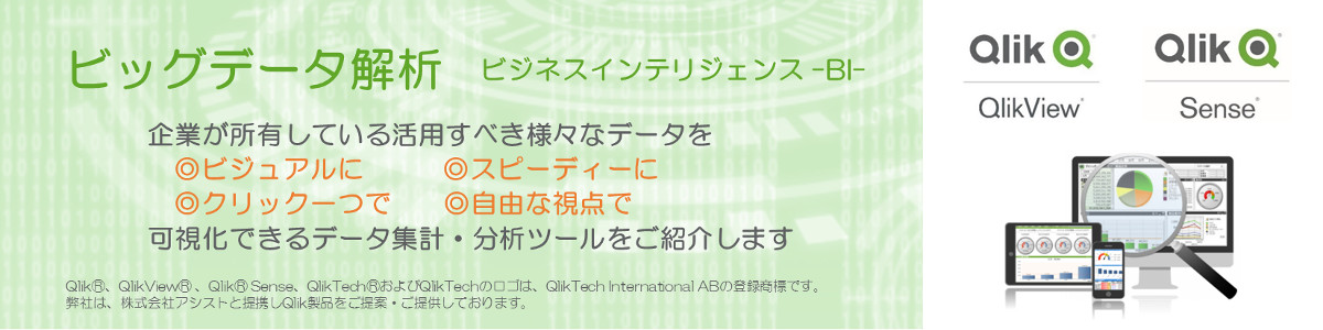 ビッグデータ解析-ビジネスインテリジェンス-