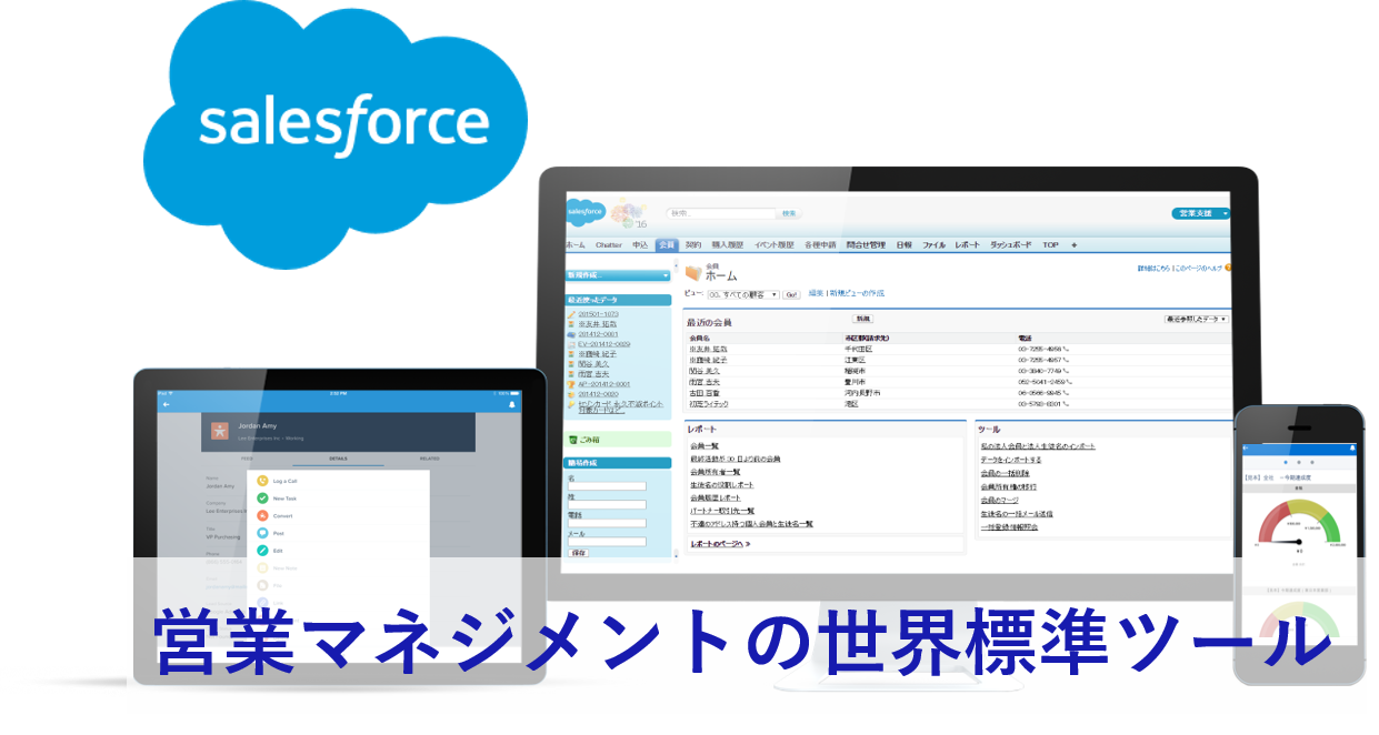 セールスフォース導入支援 Salesforce導入支援サービスロゴ